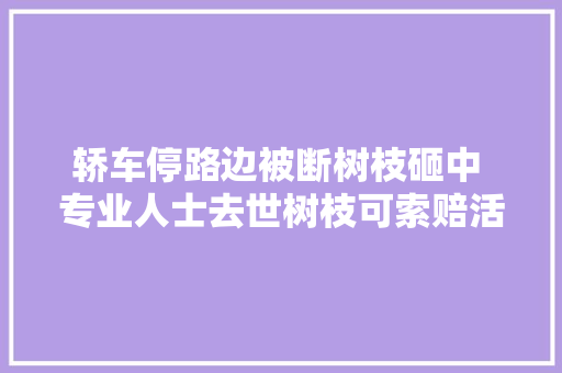轿车停路边被断树枝砸中 专业人士去世树枝可索赔活树枝有难度