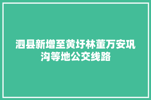 泗县新增至黄圩林董万安巩沟等地公交线路