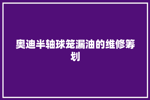 奥迪半轴球笼漏油的维修筹划