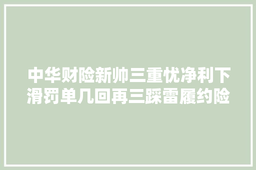 中华财险新帅三重忧净利下滑罚单几回再三踩雷履约险