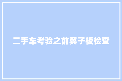 二手车考验之前翼子板检查