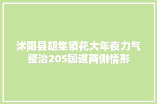 沭阳县胡集镇花大年夜力气整治205国道两侧情形