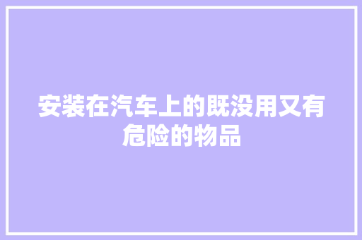 安装在汽车上的既没用又有危险的物品