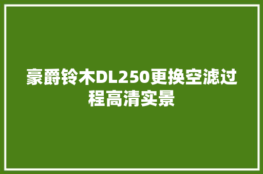 豪爵铃木DL250更换空滤过程高清实景