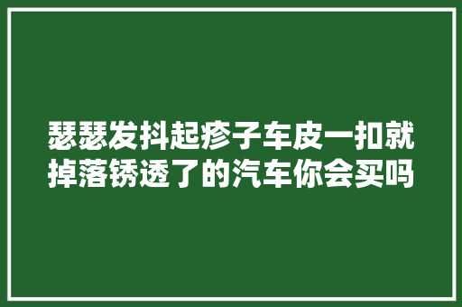 瑟瑟发抖起疹子车皮一扣就掉落锈透了的汽车你会买吗
