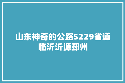 山东神奇的公路S229省道临沂沂源邳州