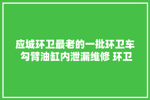 应城环卫最老的一批环卫车 勾臂油缸内泄漏维修 环卫车