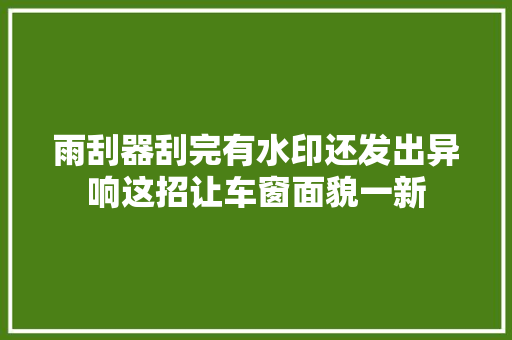 雨刮器刮完有水印还发出异响这招让车窗面貌一新