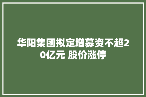 华阳集团拟定增募资不超20亿元 股价涨停