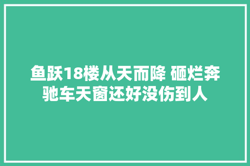 鱼跃18楼从天而降 砸烂奔驰车天窗还好没伤到人
