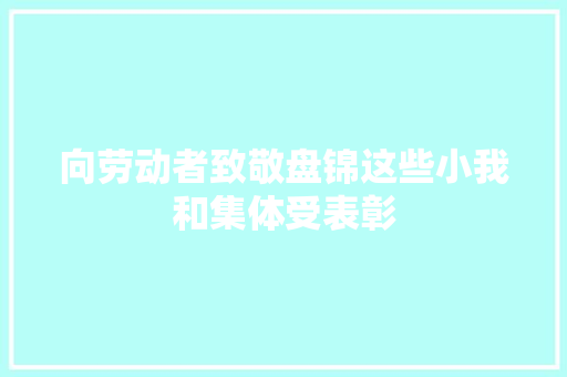 向劳动者致敬盘锦这些小我和集体受表彰