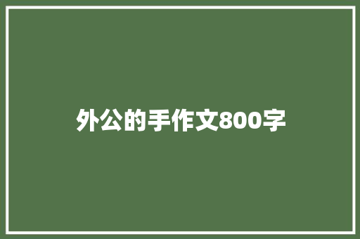 外公的手作文800字