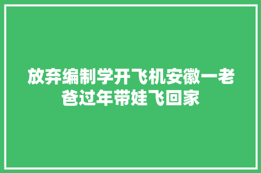 放弃编制学开飞机安徽一老爸过年带娃飞回家