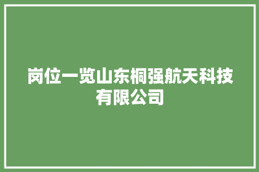 岗位一览山东桐强航天科技有限公司
