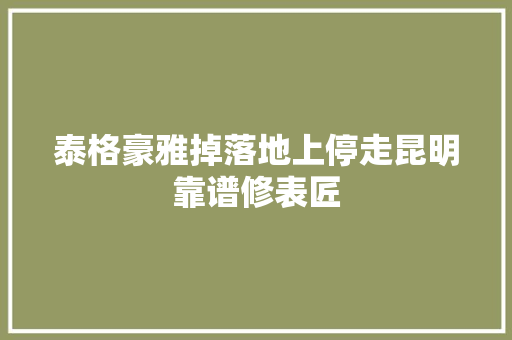 泰格豪雅掉落地上停走昆明靠谱修表匠