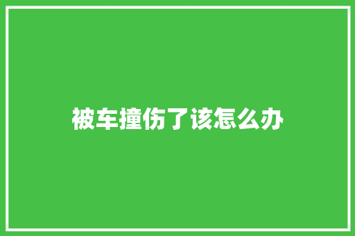 被车撞伤了该怎么办
