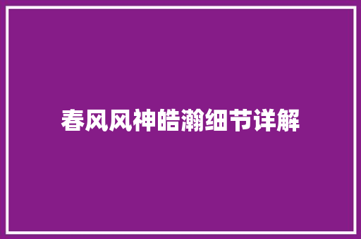 春风风神皓瀚细节详解
