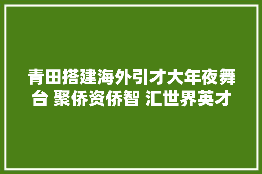 青田搭建海外引才大年夜舞台 聚侨资侨智 汇世界英才