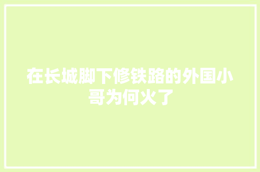 在长城脚下修铁路的外国小哥为何火了