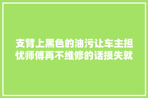 支臂上黑色的油污让车主担忧师傅再不维修的话损失就大年夜了