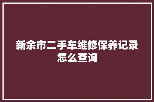 新余市二手车维修保养记录怎么查询