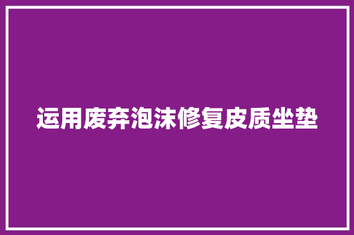 运用废弃泡沫修复皮质坐垫