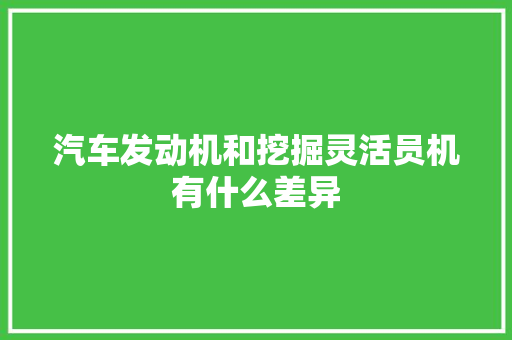 汽车发动机和挖掘灵活员机有什么差异