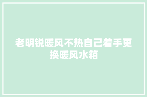 老明锐暖风不热自己着手更换暖风水箱