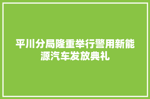平川分局隆重举行警用新能源汽车发放典礼