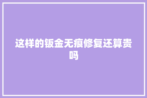这样的钣金无痕修复还算贵吗
