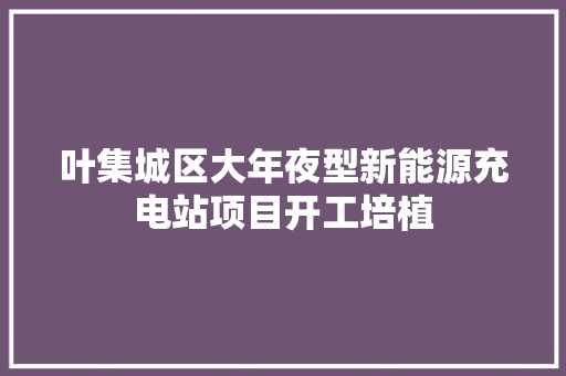 叶集城区大年夜型新能源充电站项目开工培植