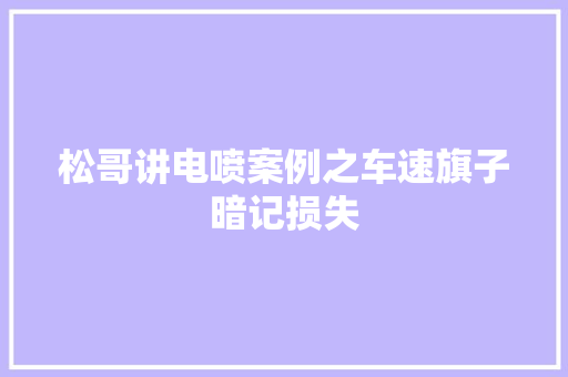 松哥讲电喷案例之车速旗子暗记损失