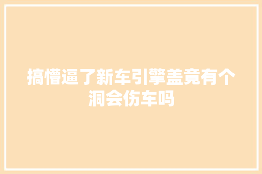 搞懵逼了新车引擎盖竟有个洞会伤车吗