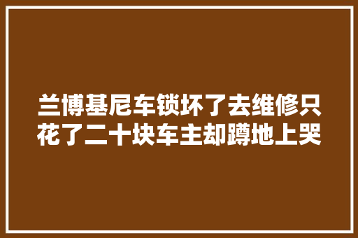 兰博基尼车锁坏了去维修只花了二十块车主却蹲地上哭了 汽车知识