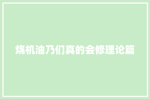 烧机油乃们真的会修理论篇