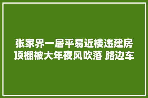 张家界一居平易近楼违建房顶棚被大年夜风吹落 路边车辆无辜遭殃