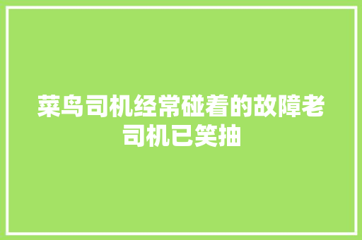 菜鸟司机经常碰着的故障老司机已笑抽
