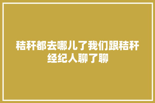 秸秆都去哪儿了我们跟秸秆经纪人聊了聊