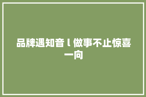 品牌遇知音 l 做事不止惊喜一向 汽车知识