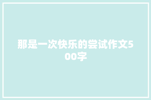 那是一次快乐的尝试作文500字