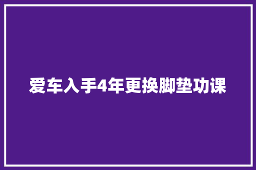 爱车入手4年更换脚垫功课