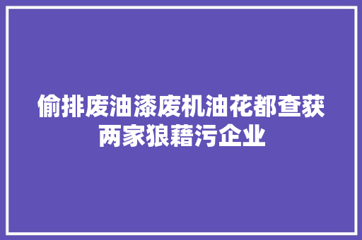 偷排废油漆废机油花都查获两家狼藉污企业