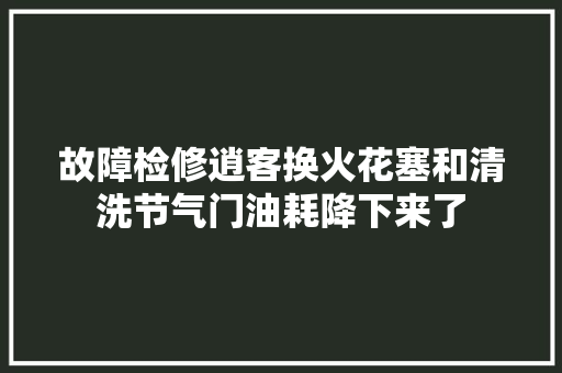 故障检修逍客换火花塞和清洗节气门油耗降下来了