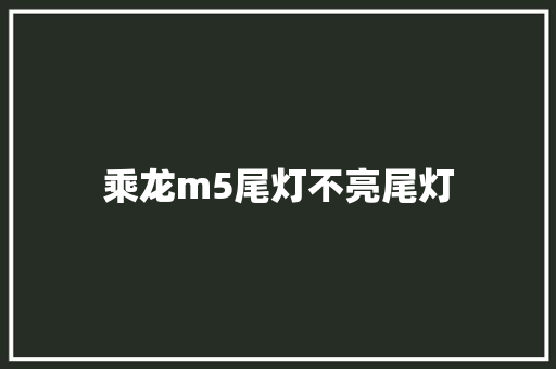 乘龙m5尾灯不亮尾灯