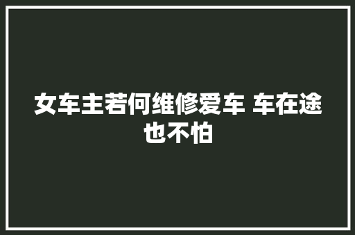 女车主若何维修爱车 车在途也不怕