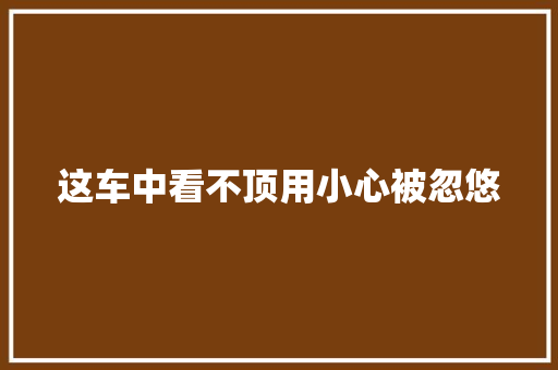 这车中看不顶用小心被忽悠