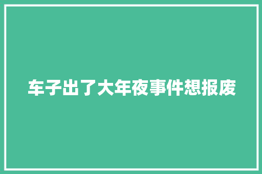 车子出了大年夜事件想报废
