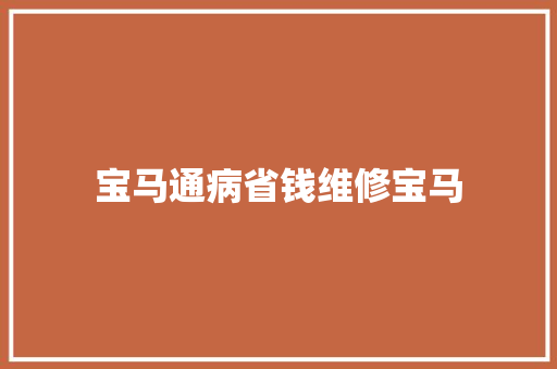 宝马通病省钱维修宝马