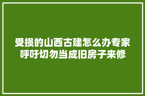受损的山西古建怎么办专家呼吁切勿当成旧房子来修