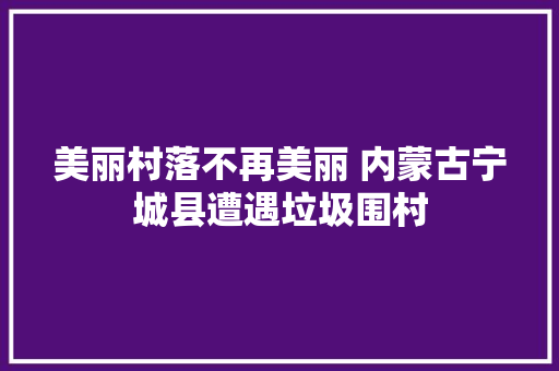 美丽村落不再美丽 内蒙古宁城县遭遇垃圾围村